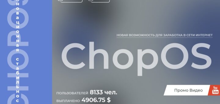 Chopos.net - Инвестиционный проект копилка
