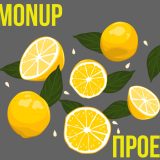 Limonup - Среднедоходный хайп проект