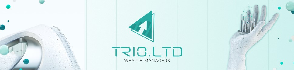 Trio.ltd - Низкодоходный инвестиционный проект